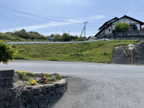 市有地の草払い